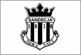 1. liga: Sandecja ma nowego trenera