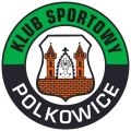 Górnik Polkowice