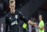 Bramka Karola widerskiego