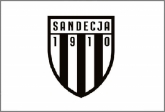 1. liga: 5 goli w meczu Tychy - Sandecja