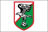 2. liga: Sok silniejszy od Jastrzbia